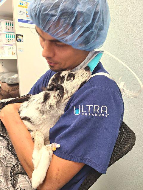 Dr Mccorkle cuddles pup at Summer Creek animal clinic